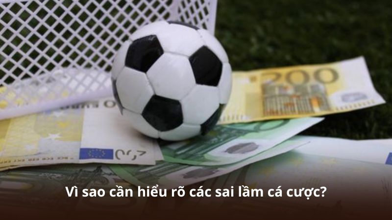 Vì sao cần hiểu rõ các sai lầm cá cược?
